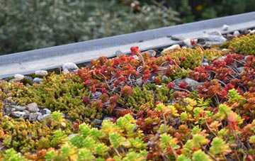 the cost of Hawcross green roof installation