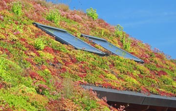 Hawcross living roof systems